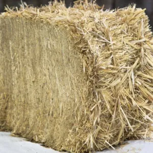Piccole balle di paglia di grano Extra-pressato ≈ 22 kg  | 108 balle