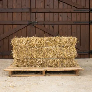 Piccole balle di paglia di grano ≈ 20 kg / 85×45×35 cm | 18 balle