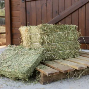 Piccole balle di erba medica/Luzerne Extra-pressato ≈ 24 kg /50x40x30 cm | 108 balle