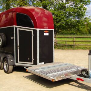 Carrozza Bockmann Duo con selleria
