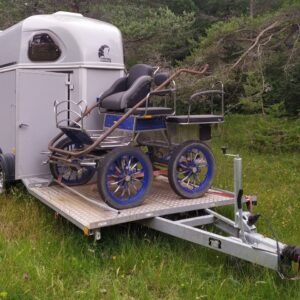 Van 2 P – Trasportatore di carrozze trainate da cavalli