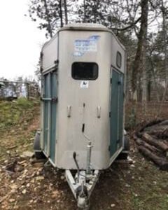 Van ifor Williams 2 cavalli
