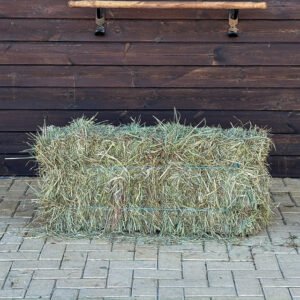 Piccole balle di miscela naturale di loietto ≈ 17 kg/ 85×45×35 cm  | 18 balle