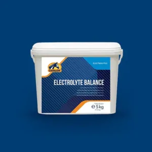 Equilibrio elettrolitico  5 kg per sacco