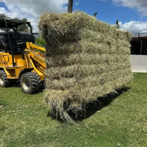 Grandi balle di fieno di prato ≈ 500 kg/ 90×120×230 cm