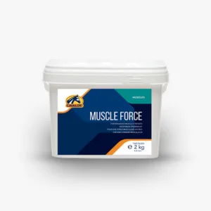 Forza muscolare 2 kg per sacco / 15 Borse