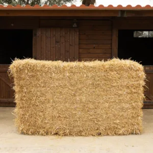 Grandi balle di paglia di grano ≈ 500 kg/ 90×120×230 cm
