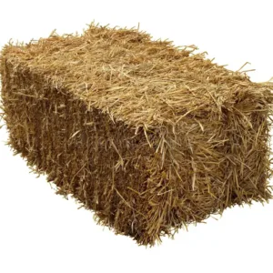 Trucioli di legno di fieno di prima qualità -15kg  | 15 sacchetti